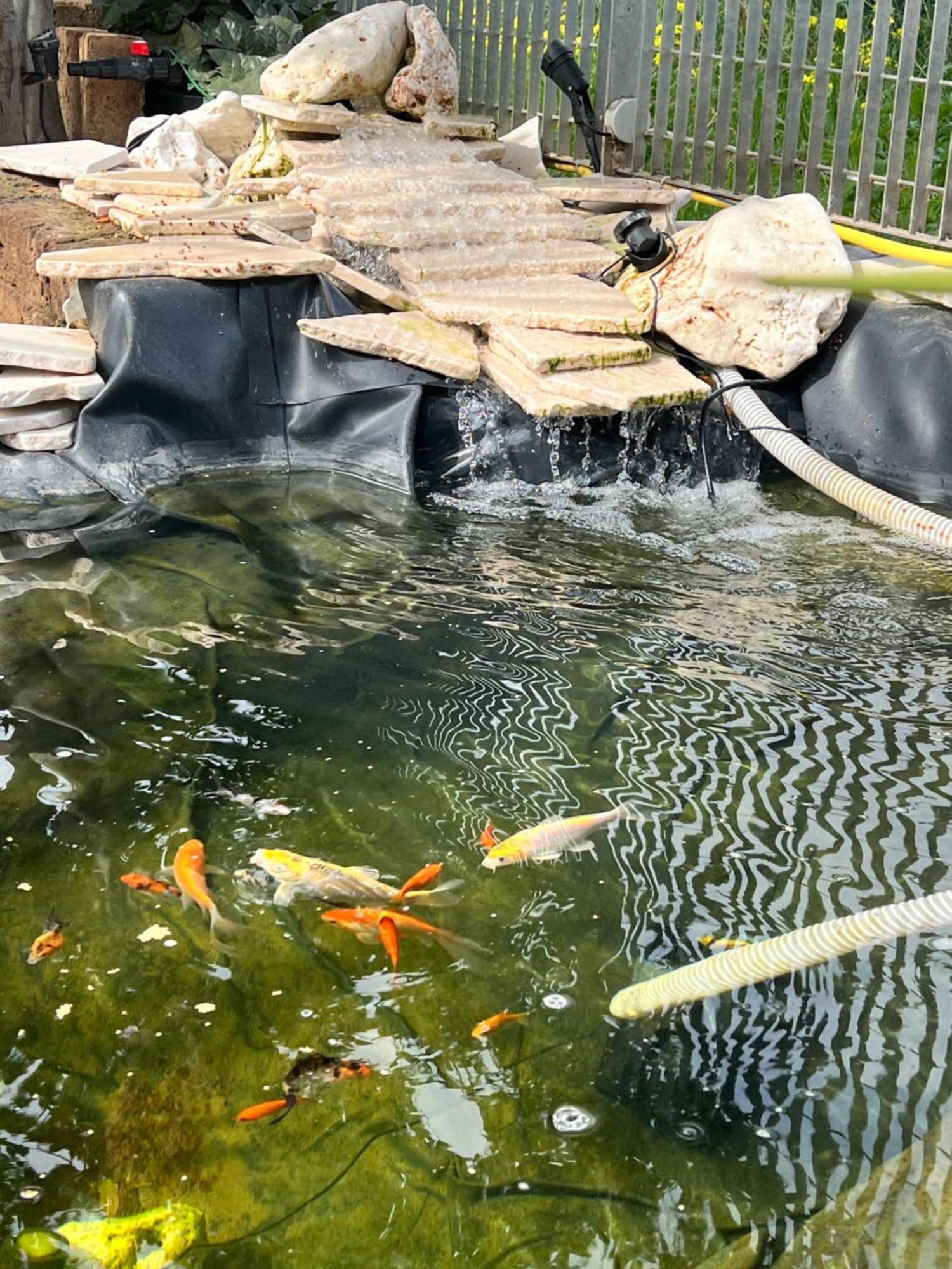 Villa Latino 维耶斯泰 外观 照片